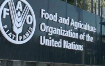 New International Recognition for Blida 1 University in FAO Publication