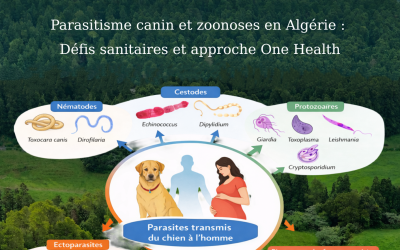 🐾 Invitation to the 1st National Veterinary Medicine Day