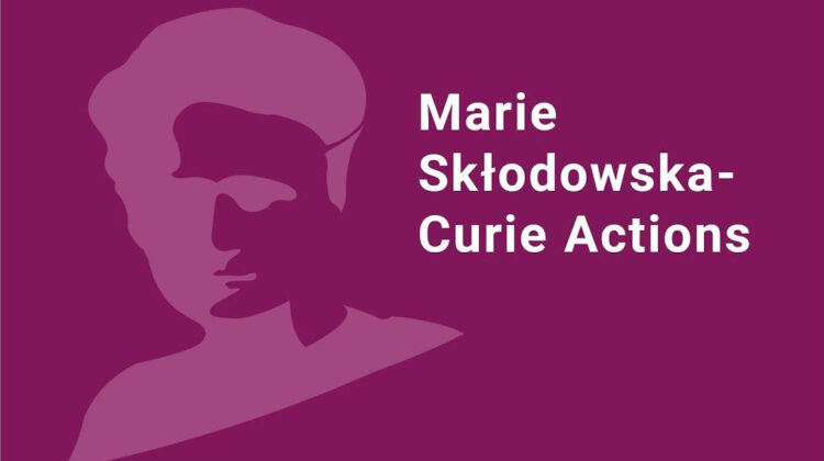 Participation in the Online InfoDay Session on the European Marie Skłodowska-Curie Actions (MSCA) Program
